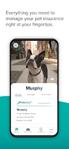 Pets best cheap
