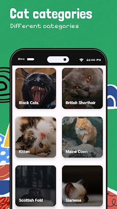 Cute Cat Wallpapers - 4Kのおすすめ画像4