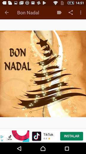 Bon Nadal Any Nou i Reis mags