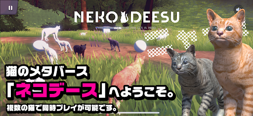 Android application NEKODEESU - Cat Metaverse screenshort