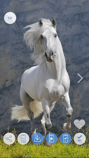 Horses Cool Wallpapers Screen 3