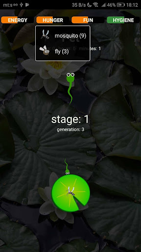 Wander Pet Screen 2