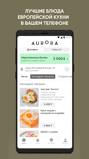 AURORA GROUP Screen 3