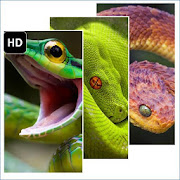 Top 30 Lifestyle Apps Like Snake HD Wallpaper - Best Alternatives