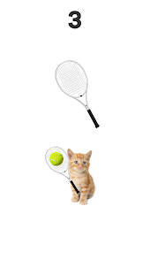 Tennis Cat