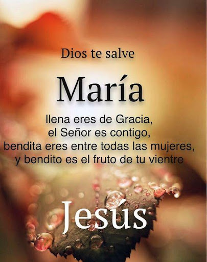 Android application Virgen Maria Frases screenshort