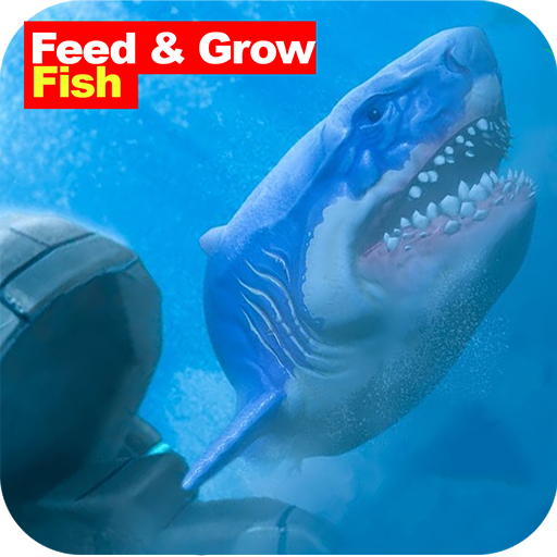 Advice : feed and grow fish