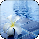 Free Swimming Pool Images icon
