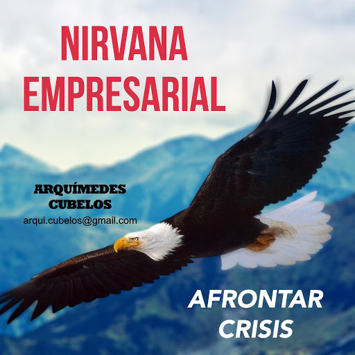 Nirvana Empresarial By Arquimedes Cubelos Audiobooks On Google Play