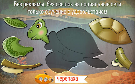 Скриншот