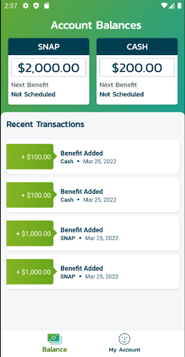 LifeInCheck EBT Screen 2