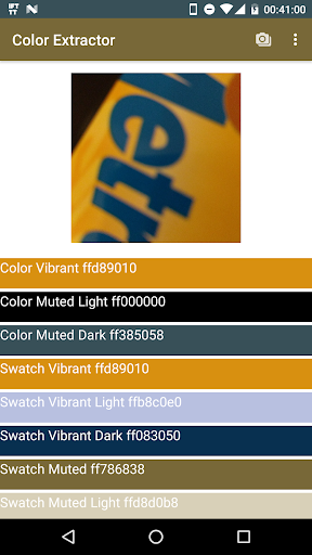 Color Extractor Screen 3