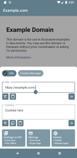 Website Downloader & Editor Screen 2