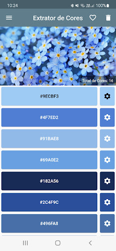 Visualização do aplicativo
