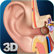 Top 30 Medical Apps Like My Ear Anatomy - Best Alternatives