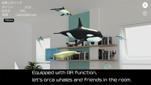 Orca and marine mammals Screen 3