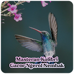 Cover Image of Baixar Masteran Kolibri Gacor Ngerol Nembak 1.3.1 APK