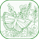 Butterfly Coloring icon