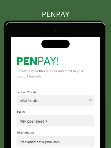 Penpay Screen 3
