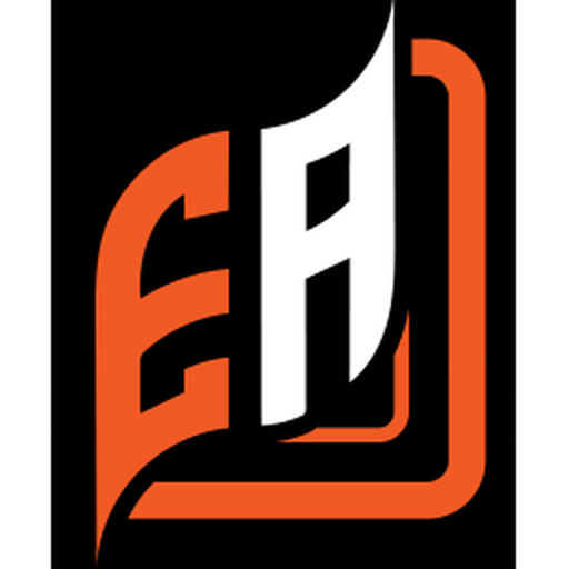 E. ACCESS API (Website Owners) logo