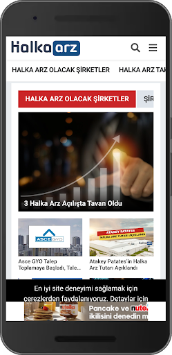 Halka Arz Screen 2
