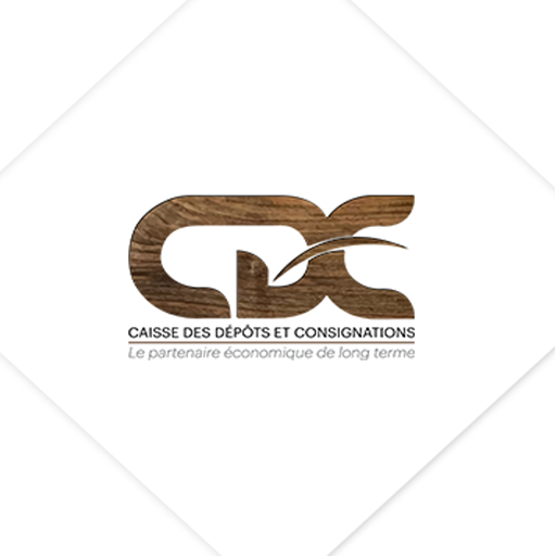 CDC Services logo