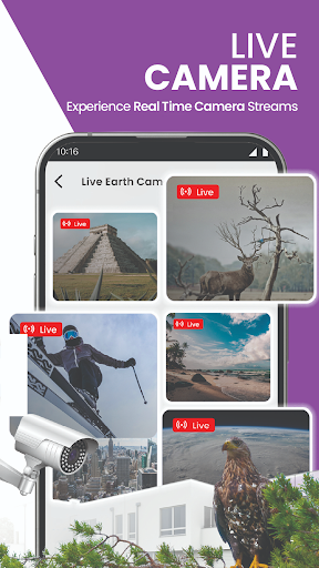 Live Satellite Earth Map View screenshot 7