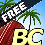 Cover Image of Download Beach Cricket 2.5.5 APK