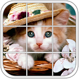 Cute Kitty Epic Puzzle icon
