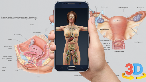 Tải Human anatomy 3D : Organs and Bones MOD + APK 1.2 (Mở khóa Premium)