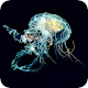 Jellyfish Wallpaper - HD Background Download on Windows