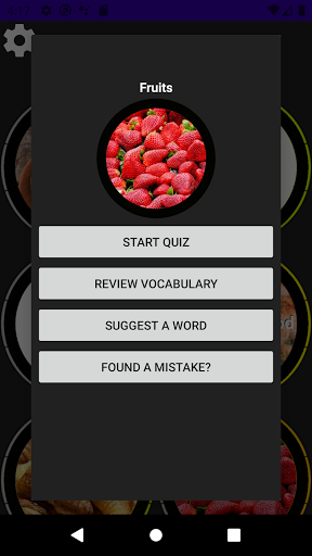 Romanian Vocabulary Screen 3
