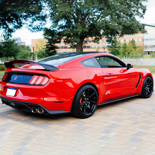 Mustang GT 350r Stunts & Drift logo