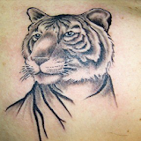 Animal Tattoos icon
