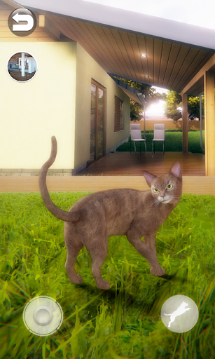 Android application Talking Abyssinian Cat screenshort