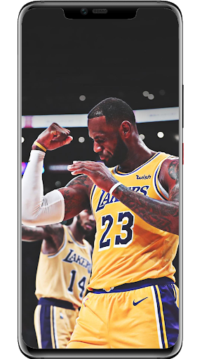 LeBron James Wallpapers Screen 2