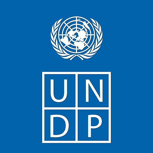 UNDP Fleet Tracker logo