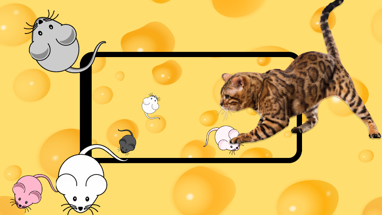 Cat Games For Cats: Mouse Toy - 1.0.8 - (Android)