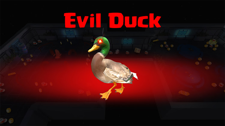 Duck Go Hide N Seek - 1.0.8 - (Android)