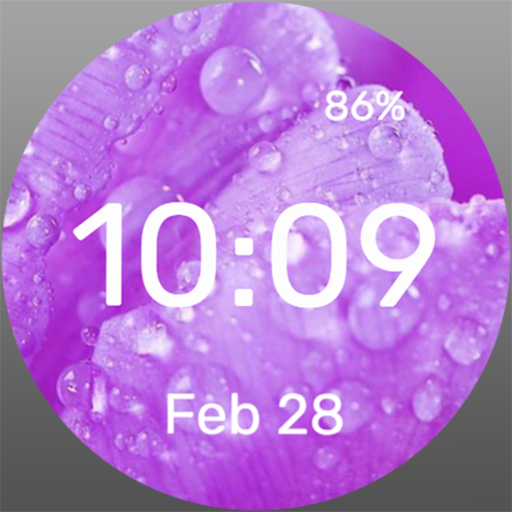 Wet Rosehip - Watch Face Install on Windows