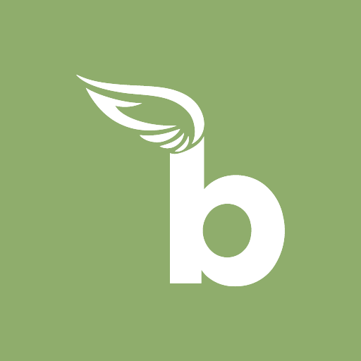 Boon Download on Windows