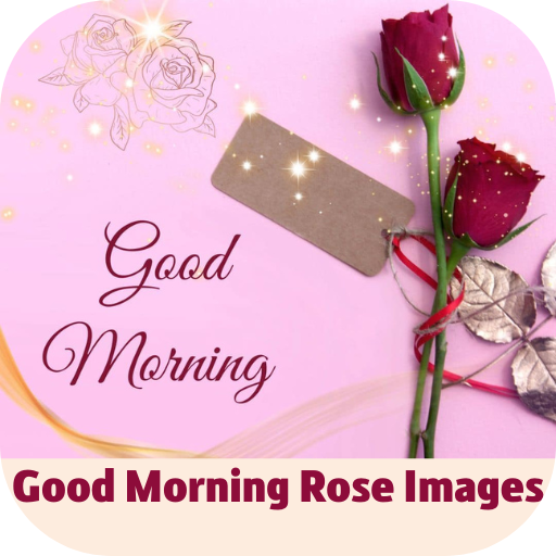 good morning rose images Download on Windows