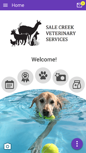 Android application Sale Creek Vet Services screenshort