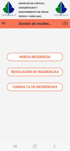 Gestión Incidencias Grupo Raga Screen 2