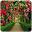 Garden photos frames