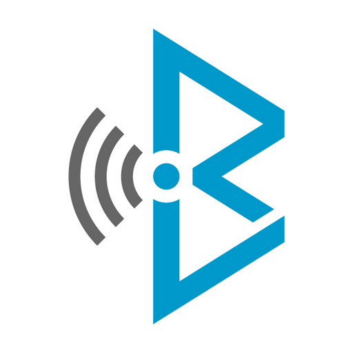 BlueLink Acces