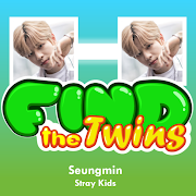 Seungmin (StrayKids) - Find the Twins
