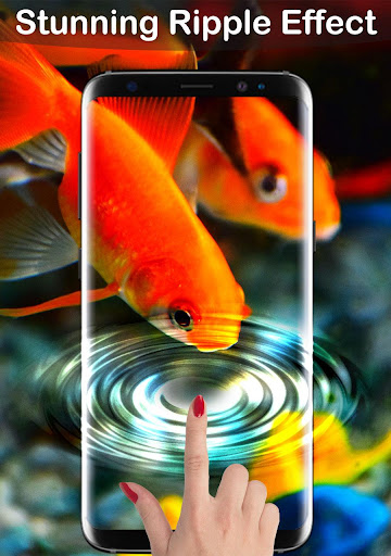 Fish Lock Screen Live Wallpape