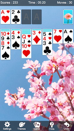 Game screenshot Solitaire apk download