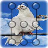 Pigeon Pattern Lock Screen icon